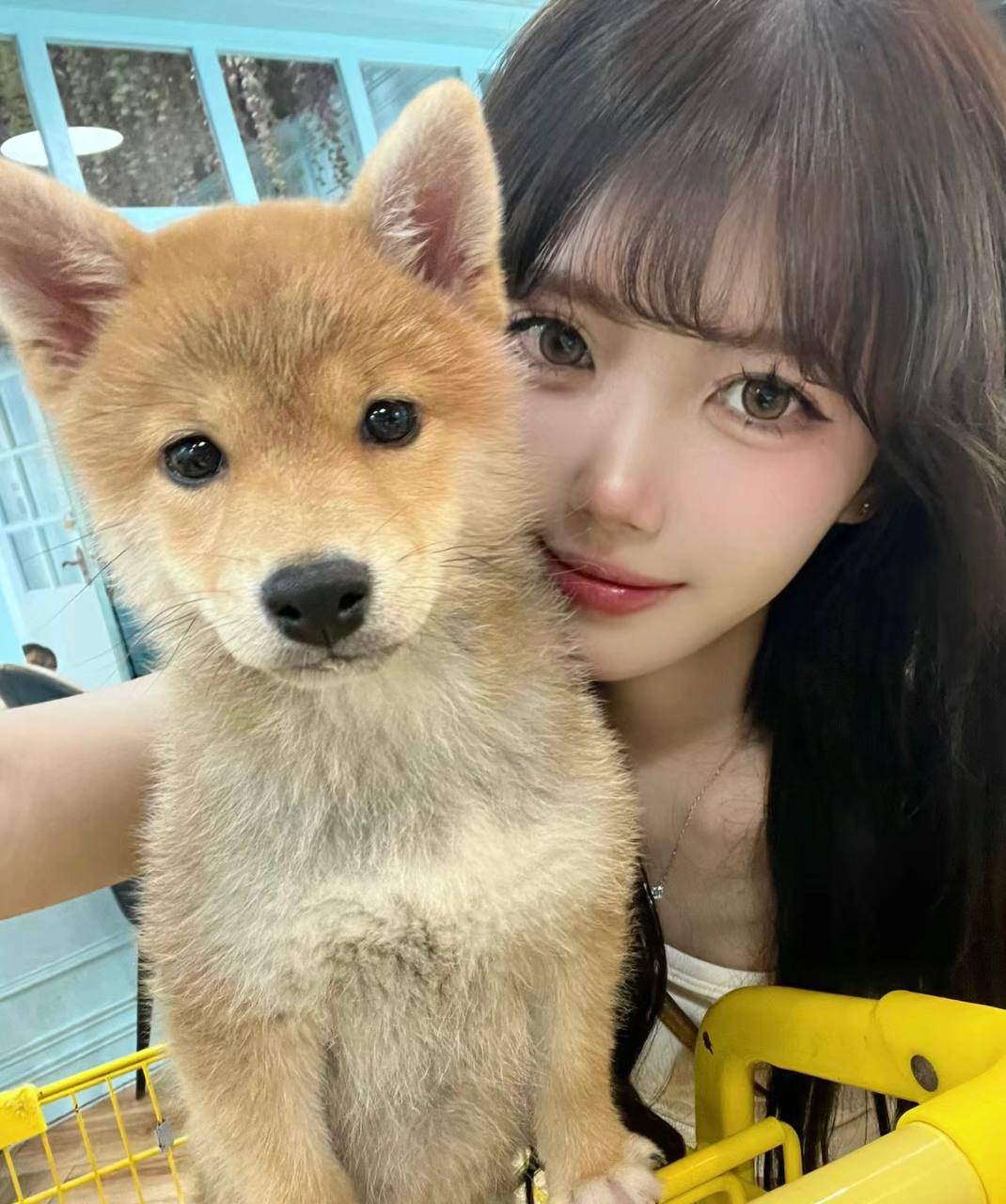 气质清新学妹婉琪